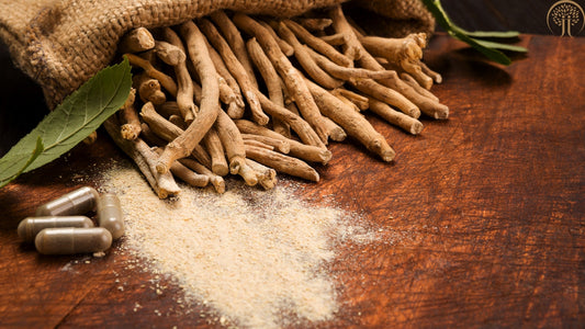 Ashwagandha Wurzel – Chancen und Risiken Stillzeit