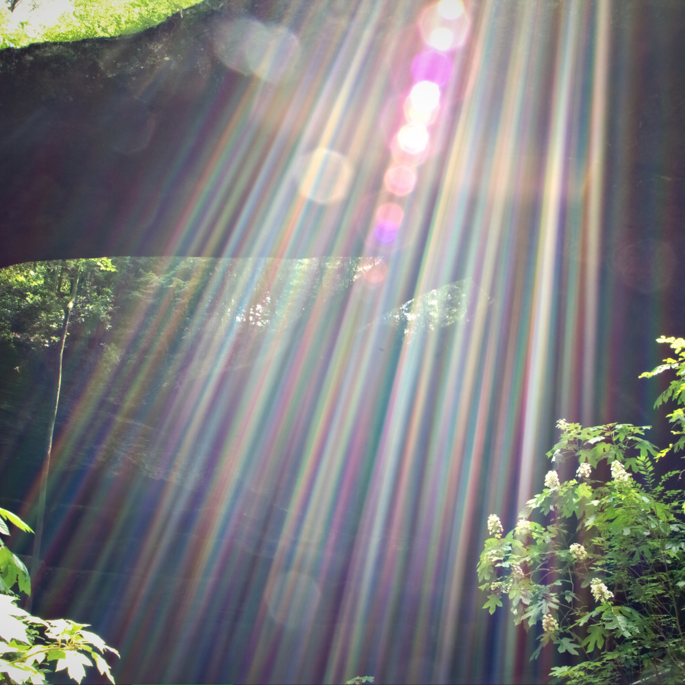 Rohstoffvisual für Vitamin D3